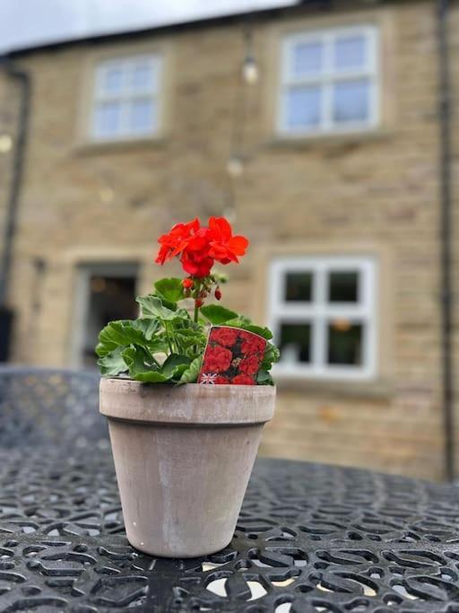 Olive Holiday Cottage Matlock Matlock  Extérieur photo